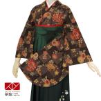 卒業式 袴 セット レンタル 大学 大人 レディース アンアン茶菊＆変り市松 女の子 二尺袖 貸衣装 セール中