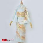 ショッピングレンタル 訪問着 レンタル 入学式 卒業式 結婚式 袷 薄青 道長取りに文箱と花 七五三 身長154〜165cm H919