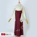 ショッピング袴 卒業式 袴レンタル 先生 教員 訪問着袴 フルセット 上品 安い 訳あり特価 黄緑色　雲取り文箱と短冊(H926) HG1172