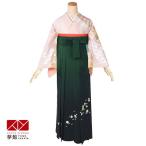 卒業式 袴レンタル 先生 教員 訪問着袴 フルセット 上品 ピンク 胡蝶蘭に雲取四季花 HG583