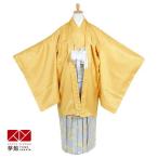  перо тканый hakama в аренду мужчина . ученик начальной школы желтый . есть × рисунок hakama Junior церемония окончания мужчина соответствует рост 135~145cm JY005-JY140