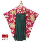 園児袴セール開催中 袴 セット レンタル 女の子 卒園式 anan 赤地 市松に菊 (袴専用) 幼稚園 保育園 四つ身袴 NG004
