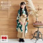 .. hakama распродажа во время hakama комплект в аренду девочка .. тип Petit Pri зеленый Hanamaru документ (N185) детский сад уход за детьми . 4 .. hakama NG107