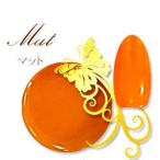 ジェルネイルカラージェル オレンジ 8g UV/LED/CCFL対応 (メール便不可)