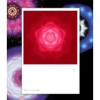 245- Crimson Flare открытка 