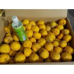 ゆのき産 本柚子　木頭柚子　 SML混載 柚子湯・柚子酢用 約9kg：80個前後！送料ヤマトCサイズ