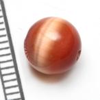 Yahoo! Yahoo!ショッピング(ヤフー ショッピング)【キャッツアイ】ダークオレンジ　8mm