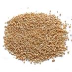 貝殻パーツ 星の砂 50g　＜6個までゆうパケット配送可能