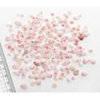 【小さな貝殻パーツ】リンゴ貝　りんご貝（小）お得パック　12.5g