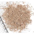 Yahoo! Yahoo!ショッピング(ヤフー ショッピング)【貝殻パーツ】カラーサンド　ナチュラル 50g ＜10個までゆうパケット配送可能＞