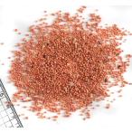 Yahoo! Yahoo!ショッピング(ヤフー ショッピング)【貝殻パーツ】カラーサンド　オレンジ 50g ＜10個までゆうパケット配送可能＞