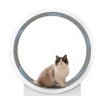  кошка. бег колесо Cat's колесо кошка беговая дорожка низкий шум большой ABS легкий кошка. to красный Mill безопасность окружающая среда защита для домашних животных мебель кошка. беличье колесо просмотр машина кошка шлифовка коготь 