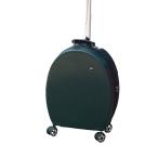  чемодан Carry кейс машина внутри принесенный 30L дорожная сумка застежка-молния тип супер-легкий маленький размер ударопрочный тихий звук двойной литейщик 360 раз вращение путешествие бизнес командировка 