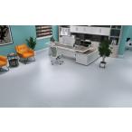  напольное покрытие коврик quotient индустрия для Dance салон водоотталкивающий .. только толстый царапина предотвращение износостойкость водонепроницаемый огнестойкий антибактериальный тренировка Class Jim различные промтовары загрязнения предотвращение офис пол 