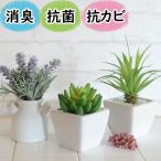 フェイクグリーン 鉢植え 消臭 おしゃれ リアル 小型『光触媒より便利なCT触媒フェイクグリーン3個セット 』