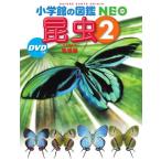  насекомое -DVD есть земля сборник 2