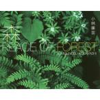 森ＰＥＡＣＥ ＯＦ ＦＯＲＥＳＴ