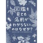  иллюстрированная книга . смотри . имя . непонятный.. почему .?~ сырой кимоно. * такой же .~.. сначала . причина . обдумать смотреть 