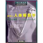  цвет тело человека анатомия - структура . функция : микро из macro до 