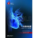 BLS провайдер manual 