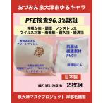 ショッピングマスク 洗える おづみん 泉大津市 ゆるキャラ マスク 洗える 高機能 呼吸が楽 立体 日本製 ３D 抗ウイルス 感染症対策 PFEマスク 0.1ミクロンマスク 正規品 当日発送