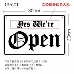 【名入れタイプ】【オープンクローズ両面パネル看板・サイズ：幅約30×高約20cm・ディプロ OPEN CLOSED 上部に名入れ】