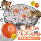 袋の中のねずみボール 猫 ねこ ネコ おもちゃ 一人遊び 電動 自動 猫じゃらし ボール オモチャ ストレス解消 運動不足解消 USB充電