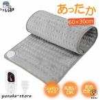 ホットカーペット ミニ 寒さ対策 ホットマット 洗える 足元 60×30cm 6段階温度調節 折りたたみ