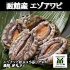  Hokkaido производство высококлассный ......5 шт морское ушко ...