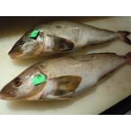  Hokkaido . гора производство редкий Baki Baki корень ...3 хвост северный однопёрый терпуг . sashimi 