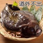  Hokkaido Hakodate ограничение рыба goko ho Tey uo2 хвост мужской 1 хвост женский 1 хвост 