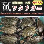 函館産　ワタリガニ　メス　内子入り　1.5kg　わたりがに　渡り蟹