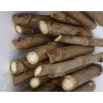  Hokkaido производство треска. дерево ... культивирование для 10шт.@ треска. .