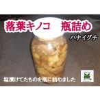  Hokkaido производство . лист грибы - naigchi соль .. бутилированный .500g