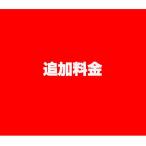 追加料金　差額専用リンク