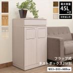 ＼レビューでプレゼント／フラップ式ダストボックス2分別インテリア雑貨ゴミ箱...