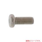 【メール便対応】サンコーインダストリー（SUNCO）　ＳＵＳシンクネジ　４×１０　（1本入）　【品番：00-02-0960-00400100-00】