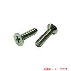 ●【在庫処分】コノエ（KONOE）　皿小ねじ　真鍮　ニッケル　3×30　【品番：FLATSS-BR-NI-330】