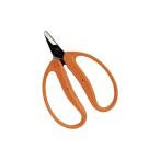 【メール便対応】近正