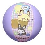 【メール便対応】イガラシ　ポケピース ビーチボール 40cm　【品番：AQE-40A】