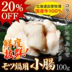 バーベキュー BBQ 焼肉 ホルモン 【モツ鍋用】小腸 100g モツ 国産 牛ホルモン もつ焼き お取り寄せ