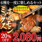 バーベキュー BBQ セット 焼肉 ミックスホルモン 300g