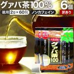 訳あり グァバ グァバ茶 グアバ茶 ガバ茶 アウトレット 2g*60包*6個セット 賞味期限2025年11月以降 送料無料 宅配便