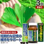 訳あり イチョウ葉 サプリ アウトレット 90粒*3個セット 約90日分 賞味期限2025年11月のみ 送料無料 宅配便