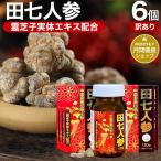 訳あり サプリ 田七人参 田七人参サプリメント 田七人参サプリ アウトレット 120粒*6個セット 約144〜180日分 送料無料 宅配便