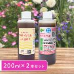  Revival используя разделение комплект 200ml модель 