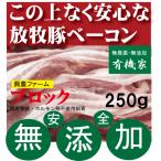  без добавок бекон блок 250g* рефрижератор рассылка . живое существо качество * гормон . не использование природа .. разведение свинья Hokkaido . Цу . сельское хозяйство ферма безопасность . бекон 
