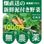無農薬野菜詰め合わせ 旬の無農薬100％野菜セット　1０００円