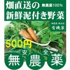 無農薬野菜詰め合わせ 旬の無農薬100％野菜セット　５００円