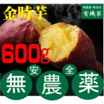  склон . золотой час клубень 600g нет пестициды * без добавок внутренний производство 